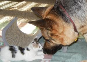 10520382_1478694189057707_7194862602305524692_o